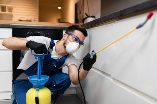 Best Rat Extermination Near Me  in East Rochester, NY