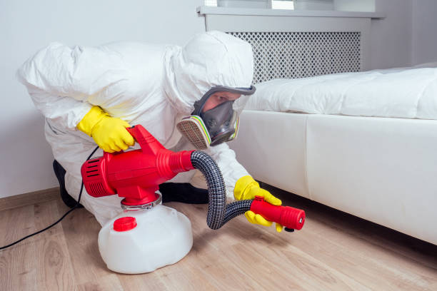 Trusted East Rochester, NY Pest Control Experts